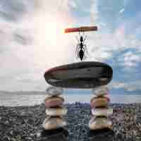 seo1网‍址‍发‍